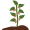 Espèce