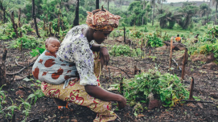 Les épices d'Afrique